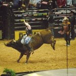 PBR World Finals